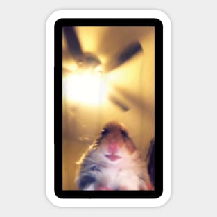 Hamster Calling Sticker